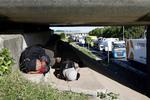 Immigranter. De mange immigranter er samlet i Calais på den franske side af Kanalen. De bor i uhumske lejre eller under broer og i porte, parate til at gøre hvad som helst for at komme til Storbritannien. 