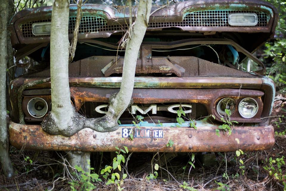 URØFT. Et træ er vokset op gennem en GMC truck fra 1953. Bilen er et af ca. 4.000 vrag i museet Old Car City i Georgia, USA. 