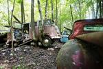 SVÆVENDE. En gammel VW-bus er blevet løftet lidt op af et træ. 