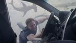 Redningsmand. Ian Ziering spiller hovedrollen Fin Shepard. Her ses han i en scene fra 'Sharknado 3'. 