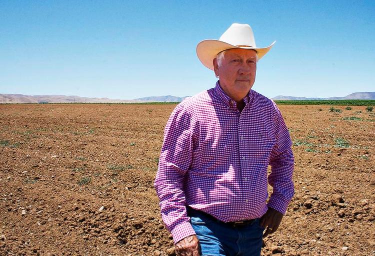 Tørke. Californien er ramt af tørke på fjerde år og landmænd må købe vand fra kolleger fra andre dele af USA. 
