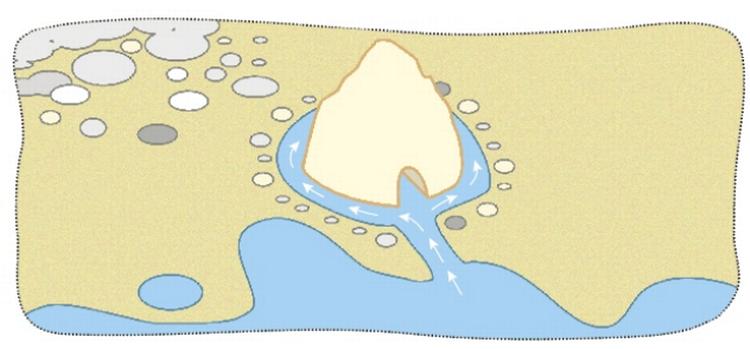 STRANDARKITEKTUR. Arkitekten bag flere af verdens mest kendte bygninger guider til stringent strandbyggeri. 