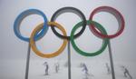 tåge. Ud over tøvejr og sjap er Sotji-området ramt af en tung tåge, der kan udskyde skiskydningen endnu en gang. 