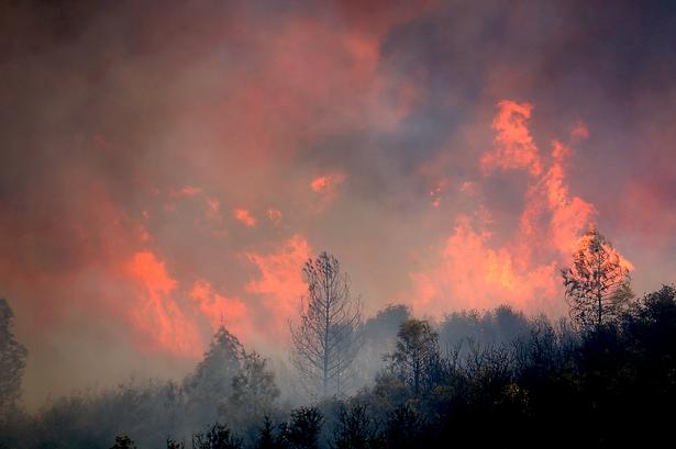 TØRT. Mere end 20 skovbrande plager Californien. De er slet ikke under kontrol endnu. 