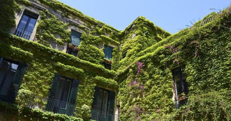 Tilgroet. Palazzo Rollo er en grøn undtagelse i Lecce, hvor de gyldne sandsten er overalt. Palæet er i dag et hotel, der værner om suset fra en svunden tid. 