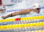 DEBUTANT. VM i Kazan er det første for Viktor Bromer, der dog har vundet medaljer ved EM på både kortbane og langbane. 