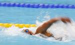 JUBILÆUM. Finalen i 1.500 meter fri var den tiende ved et VM på langbane for Lotte Friis, der for første gang siden 2007 ikke sluttede blandt medaljetagerne. 