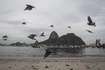 Brazil OLY Rio 2016 Dirty Water