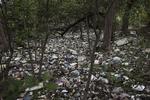 Brazil OLY Rio 2016 Dirty Water
