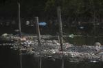 Brazil Polluted Bay Photo Essay