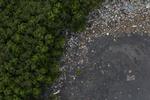 Brazil Dirty Water