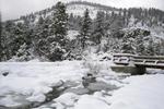ROCKY Mountains National Park i Colorado minder meget om Yosemite. Venlig og tilfængelig de fleste steder, men bjergene kan vise tænder, hvis man bevæger sig væk fra alfarvej. Her kommer man ud på smalle stier, hvor der er risiko for klippeskred. I gennemsnit er der ét dødsfald i parken om året. Til oktober kan sneen dække området ved Horseshoe Park (billedet). 