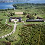 Natur. På Fænø kan private firmaer og velhavende privatpersoner købe fester, konferencer, eller jagtture i eksklusive og diskrete omgivelser. For hvad der sker på Fænø, og hvem der er gæster, det får ingen at vide. 