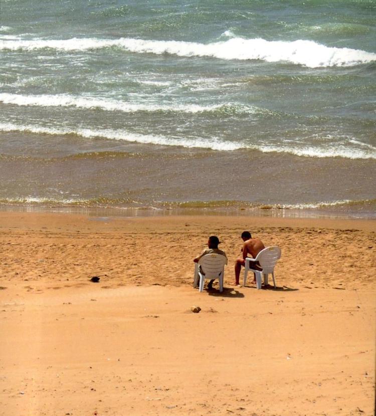 Fremmede. Der er udsigt til både den arabiske og den vesteuropæiske verden ifortællingen om to mænds venskab. 'Venskabets historie' ville være perfekt til en stor film. Foto: Udsnit af bogens forside 