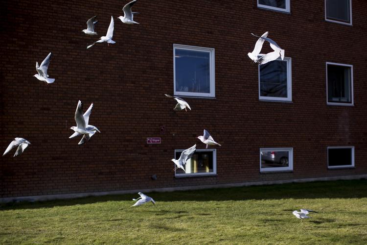 RETSSAG. Nogle af patienterne i de 10 sager er stadig i live, oplyser forsvarsadvokaten. 
