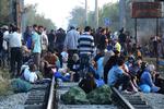 Afsporet. Syriske flygtninge venter på et jernbanespor i Idomeni i Grækenland. Migrant-strømmen mod Europa tager til. 