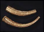 Kopier. Guldhornene har levet en omtumlet tilværelse. Det lange horn blev fundet i 1639 og det korte i 1734. De blev stjålet i 1802 og siden - i to omgange - genskabt ud fra gamle billeder. Her ses det seneste sæt kopier fra 1970'erne. 