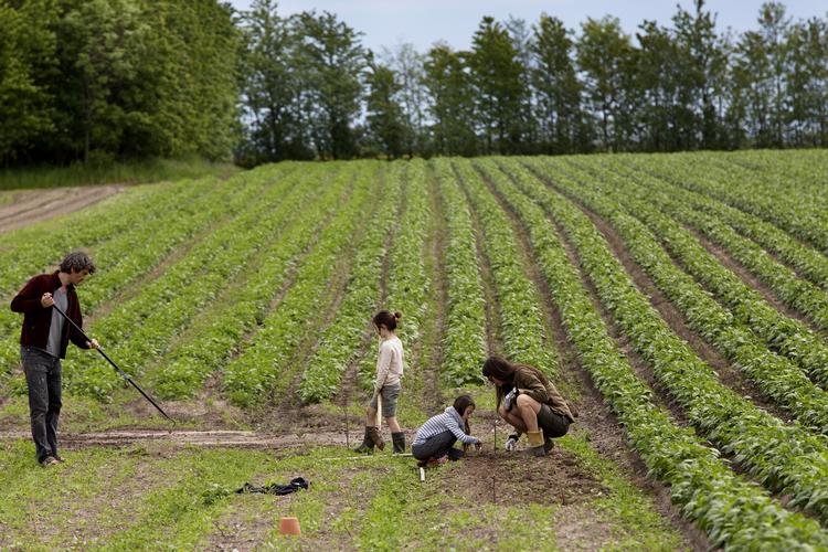 Jord-til-bord. Ønsker du at lave et arrangement til Copenhagen Cooking, skal du ikke se det som en begrænsning, hvis du ikke holder til i København. 