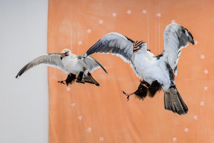 Installation. 'Attack of the Warpainted Eagles' (2015) og 'The Star Circle' (2015). 