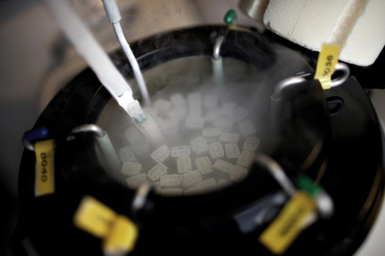 Sæd. Doneret sæd nedfryses til 196 grader celsius. 