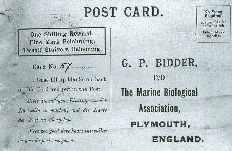 Hjemvendt. Det var dette cirka 110 år gamle brev, der  for nylig vendte hjem til Storbritanniens Marinbiologiske Forening, efter at det i april blev fundet på en tysk strand. 