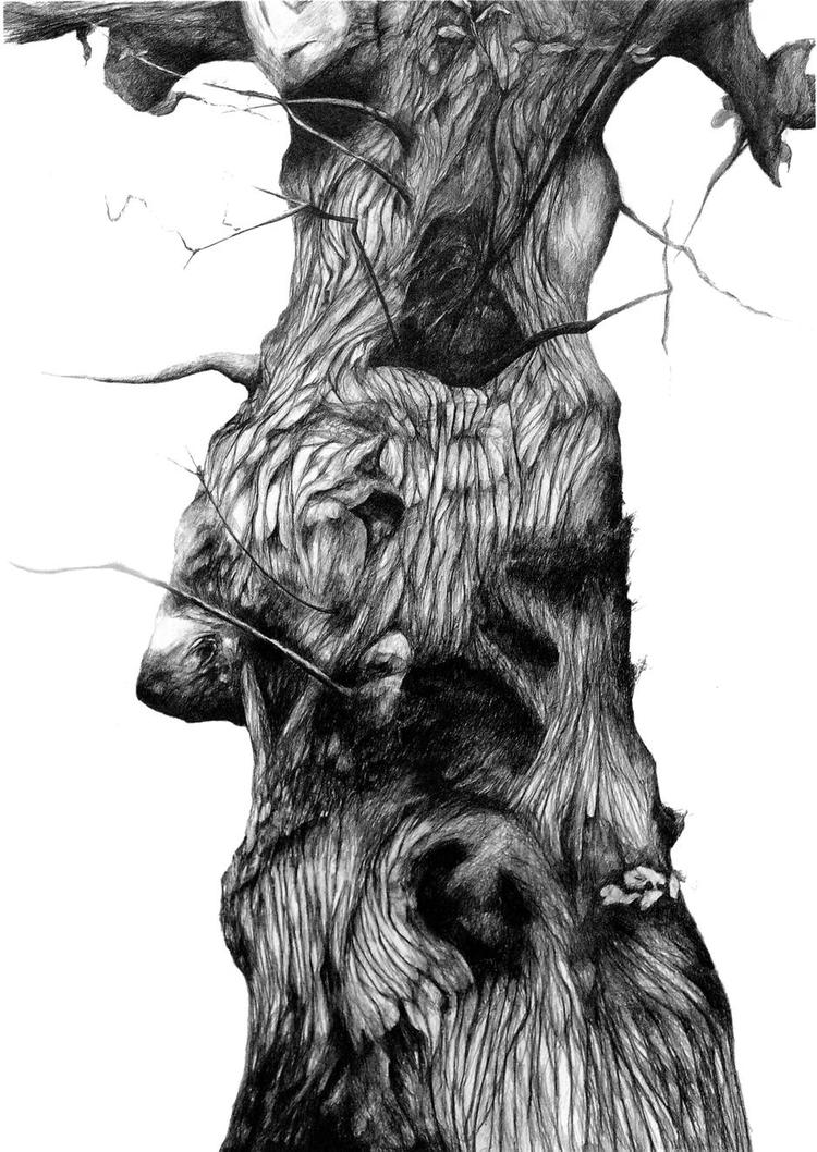 Knortet. Storkeegen i Fanefjord Skov 2013. »Min bark er elastisk og grøn. Jeg kan gro, hvorhen jeg vil. Ingen dyr kan flytte ind i mig. Jeg er usårlig af nysgerrighed. Jeg ser verden helt ind i kernen, fordi jeg er ny«. Illustration fra bogen: Ole Lejbach. 