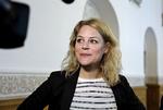 Forundret. Enhedslistens Johanne Schmidt-Nielsen kan ikke forstå, hvorfor en afghansk mand blev udvist fra Danmark sidste år, når  der ifølge hans advokat er flere beviser på, at han er i livsfare i hjemlandet. 