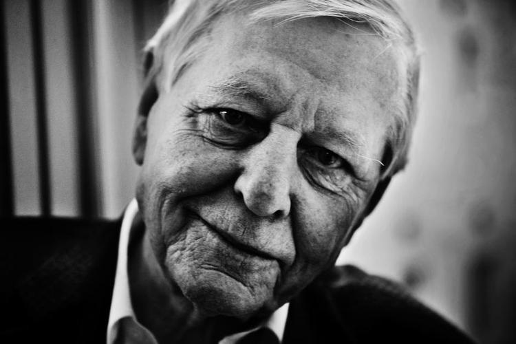 rejsende. Globaliseringens ensretning har gjort det mere kedeligt at rejse, konstaterer den tyske forfatter Hans Magnus Enzensberger. 