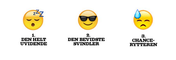 Typerne. Fradragsfuskerne kan deles op i tre grupper: Dem, som bare ikke kan finde ud af reglerne. Den hårde kerne af bevidste svindlere. Og chancerytterne, som tager chancen og bevilger sig selv et lille nødlån. Illustration: Liv Ajse 