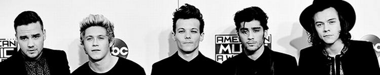 PAUSERAMT. One Direction har fra marts næste år valgt at holde et års pause. 