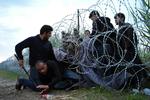 Hegn. De store flygtninge- og migrantstrømme er også nået til Ungarn. 