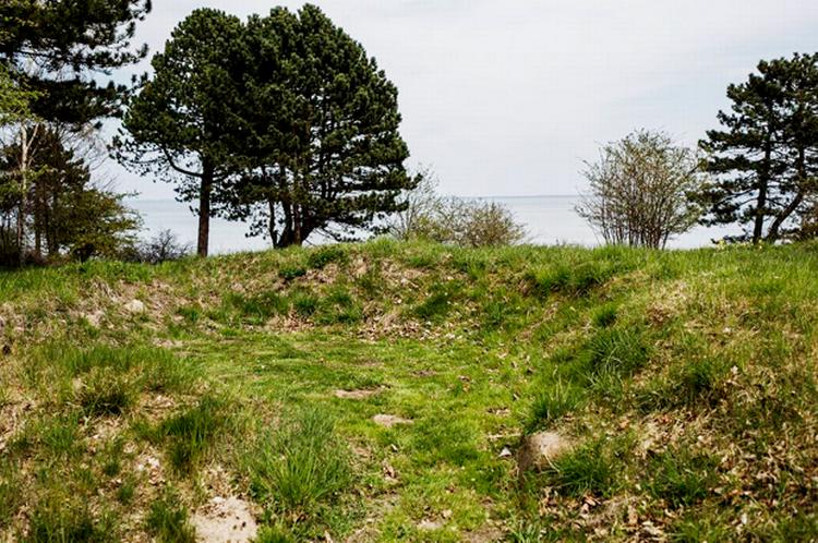 Charlotte Helsted værner om den vilde natur omkring sit sommerhus i Odsherred. Hun er medforfatter til en naturvejledning omkring emnet. 