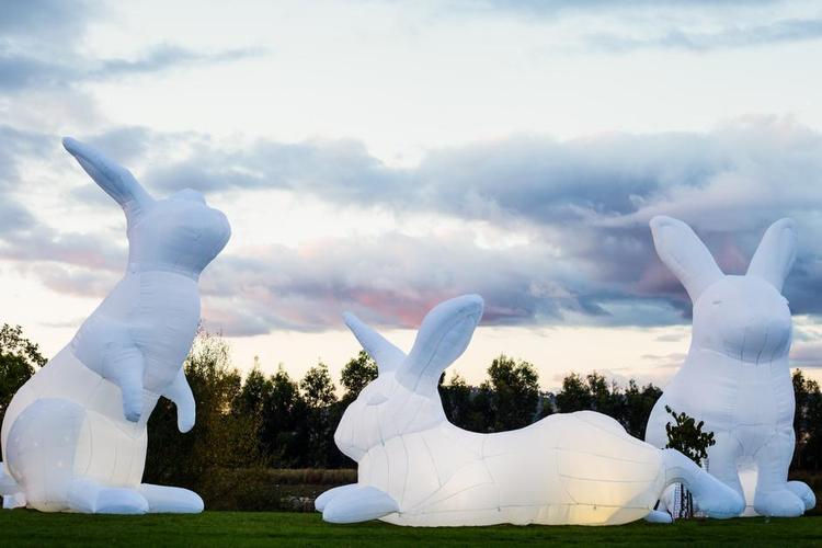 Kaniner. De fem kaniner er 7 meter højer. Australske kunstner Amanda Parer udstiller under Aarhus Festuge. 