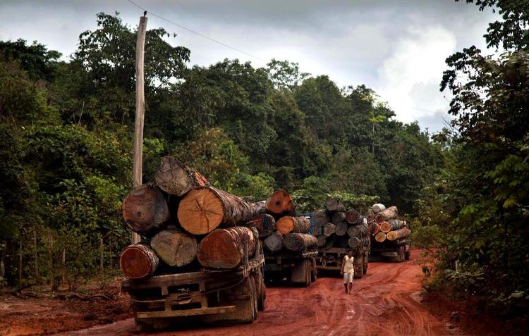TØMMER. Jagten på de kostbare træsorter i Amazonas regnskov er svær at styre. Her venter lastbiler på en færgeoverfart nær Santarém i Pará. Foto: Marizilda Cruppe / Greenpeace 