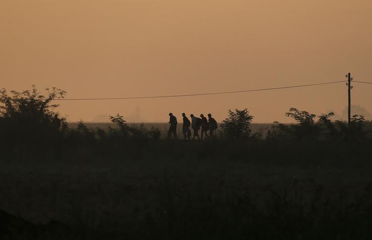 Vandring. Ved solopgang her til morgen er en gruppe migranter på vej mod grænsen mellem Serbien og Ungarn for at komme ind i EU. 