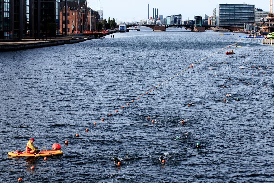 red_CHRISTIANSBORG_SWIMMING18478.jpg
