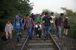 Flugt. En gruppe på 28 flygtninge fra Syrien krydser grænsen til Ungarn kl 6:15 den29. august 2015. De har fulgt et jernbanespor fra Serbien til Ungarn. De fleste flygtninge/migranter krydser grænsen på den måde og undgår dermed det kontroversielle pigtrådshegn. Tilgængæld står politiet og venter 500 meter længere nede af jernbanen, klar til at sende dem videre til en lejr, som registrer dem og tager fingeraftryk.Den unge mand midt i billedet med grøn T-shirt hedder Majid og er 20 år. Det er hans far Talac, 75 år i kørestolen. De skal til Tyskland. 