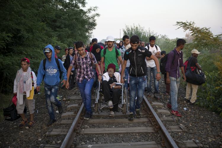 Flugt. En gruppe på 28 flygtninge fra Syrien krydser grænsen til Ungarn kl 6:15 den29. august 2015. De har fulgt et jernbanespor fra Serbien til Ungarn. De fleste flygtninge/migranter krydser grænsen på den måde og undgår dermed det kontroversielle pigtrådshegn. Tilgængæld står politiet og venter 500 meter længere nede af jernbanen, klar til at sende dem videre til en lejr, som registrer dem og tager fingeraftryk.Den unge mand midt i billedet med grøn T-shirt hedder Majid og er 20 år. Det er hans far Talac, 75 år i kørestolen. De skal til Tyskland. 