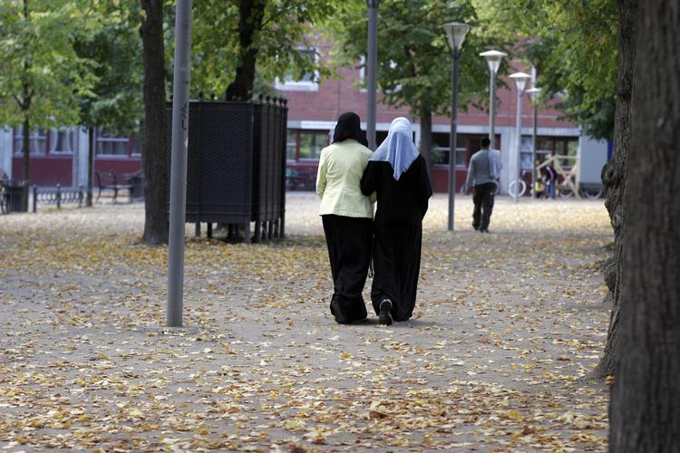 INTEGRATION. Der bruges for meget på indvandrerne, mener flertal på et tidspunkt, hvor der skæres i de offentlige kerneydelser. Økonomiekspert ser mulighed for store besparelser, hvis flere indvandrere får et arbejde. 