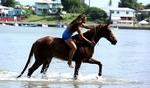 Vendepunkt. Veronika Danzer LaFortune kommer fra Tyskland, hvor hun arbejdede fem år i et omrejsende hestecirkus. I dag driver hun Healing with Horses, der hjælper handikappede børn. 