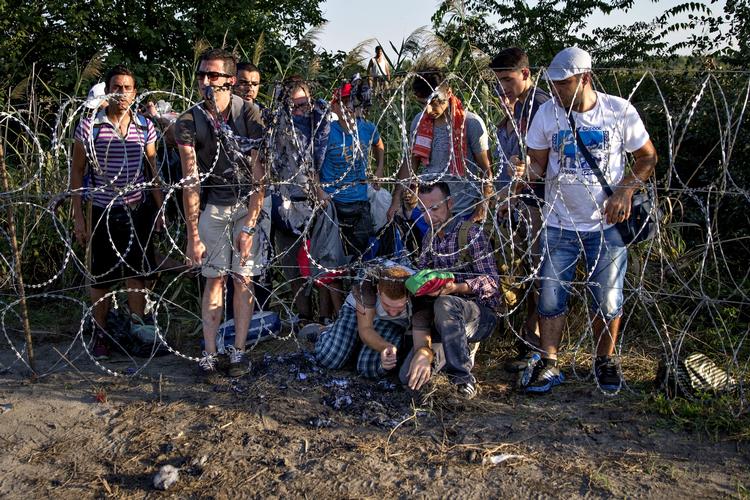 Hegn. Det lykkes for seks unge mænd i denne gruppe at komme under hegnet ved byen Röszke. ind til Ungarn inden de bliver opdaget af politiet. De løber ind i skov og forsvinder. 