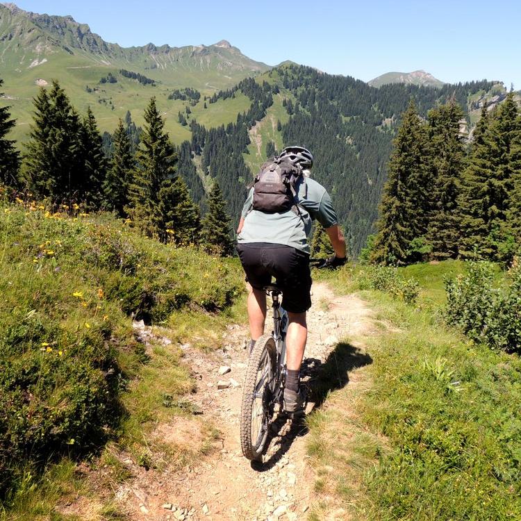 schweiz. I Portes du Soleil kan cyklister prøve både svære og lettere ruter i bjerglandskabet. Læserfoto: Frank Juel Pedersen 