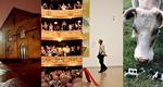 Kulturliv. Statens Teaterskole, Kongelige Teater, Statens Museum for Kunst og Landbrugsmuseet er alle blandt de institutioner under Kulturministeriet, som vil falde ind under sparekravet. 