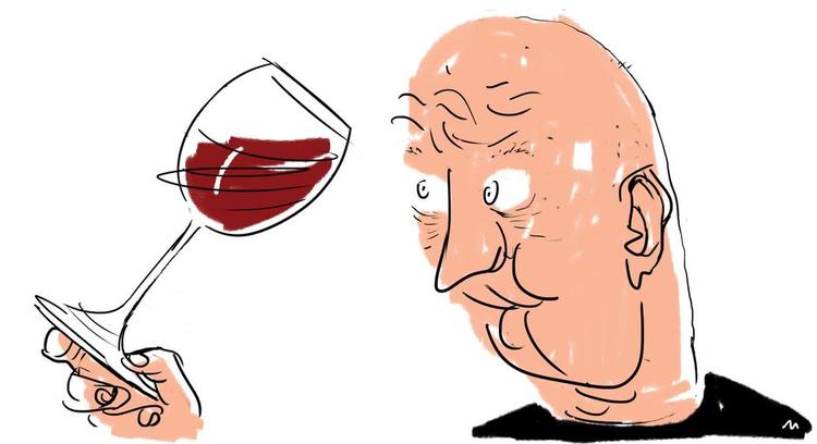 Uhm. Druen bag to af Italiens mest kendte vine dyrkes ved Alba. Her finder man forførende dufte og det legendariske tanninbid. Illustration: Mette Dreyer 