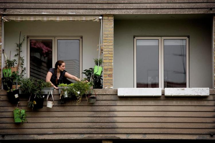 gavmildhed. Eva-Andrea Erichsen har skabt en frodig altanhave ved at udveksle frø med andre haveinteresserede. På altanen og i hendes drivhus i forældrenes have vokser bl.a. tomater fra Santorini, chili og krydderurter. I haven sikrer valmuernes frøstande nye forsyninger til byttebekendtskaberne. 