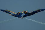 PRÆCISION. Opvisningsfly fra US Navy Blue Angels passerer hinanden i en præcis manøvre. 