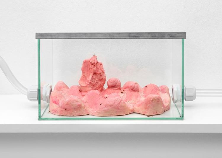 Kunsthal. I det midterste af myrekunsthallens tre plexiglasrum udstiller kunstneren Sian Kristoffersen i øjeblikket det lyserødt indfarvede chokoladeværk 'Harmolypia (Pnyx)' med indirekte og direkte reference til nutidens og oldtidens Grækenland. 