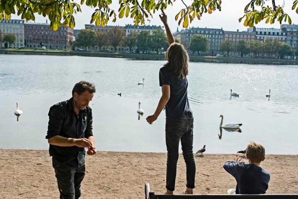 Høst. Der er rift om kastanjerne, så snart de falder langs Peblinge Sø i København. Rasmus Schandorff prøver at nå et umodent eksemplar. 