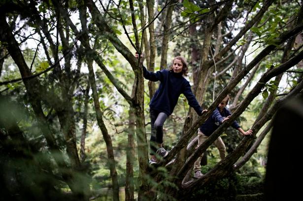 Tilladt? I byens natur må man være opmærksom på restriktioner. Det er f.eks. ikke alle steder, man må klatre i træerne. 