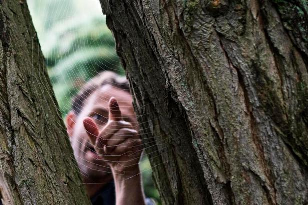 Spind. I det tidlige efterår vrimler det med edderkopper. Ole Laursen fra Danmarks Naturfredningsforening udpeger et flot spindelvæv og prøver at lokke den lille spindler frem. 